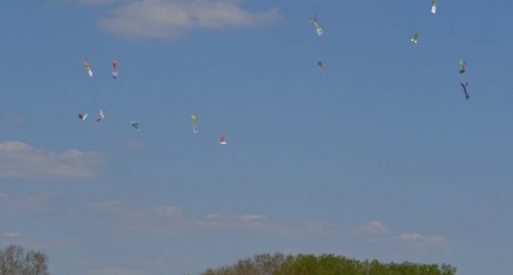 dsc-5390.jpg